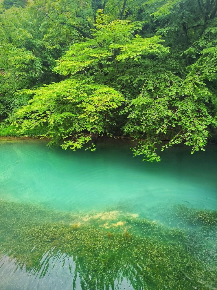 Photograph by Svetlana Gubanova