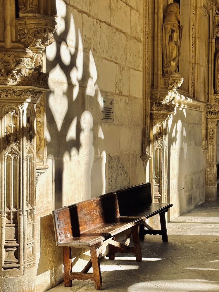 Photograph by Шевалье Татьяна