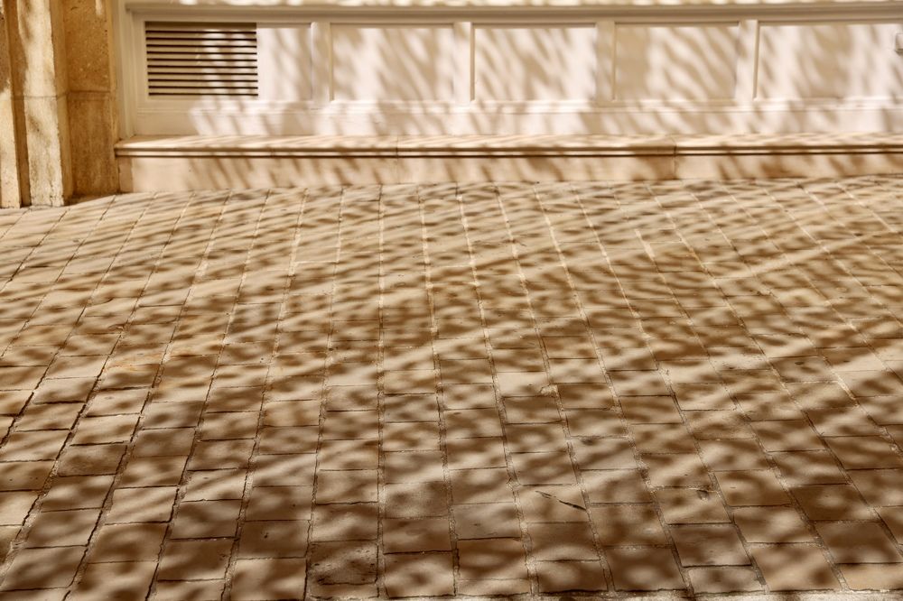 Photograph by Шевалье Татьяна