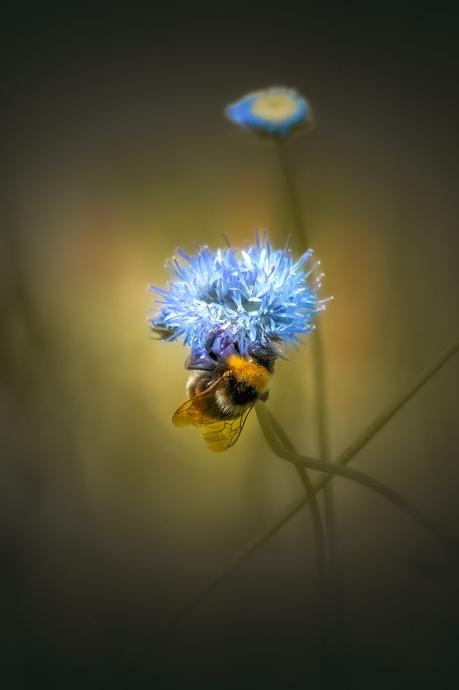Photograph by Александр Соловьев