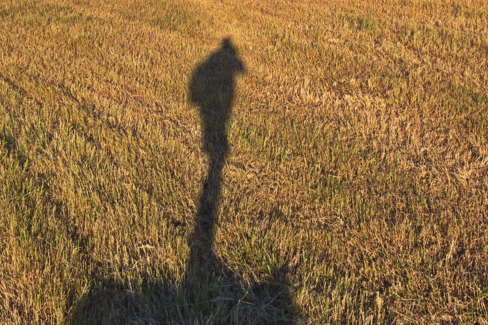 Фотография автора Анатолий Борисов