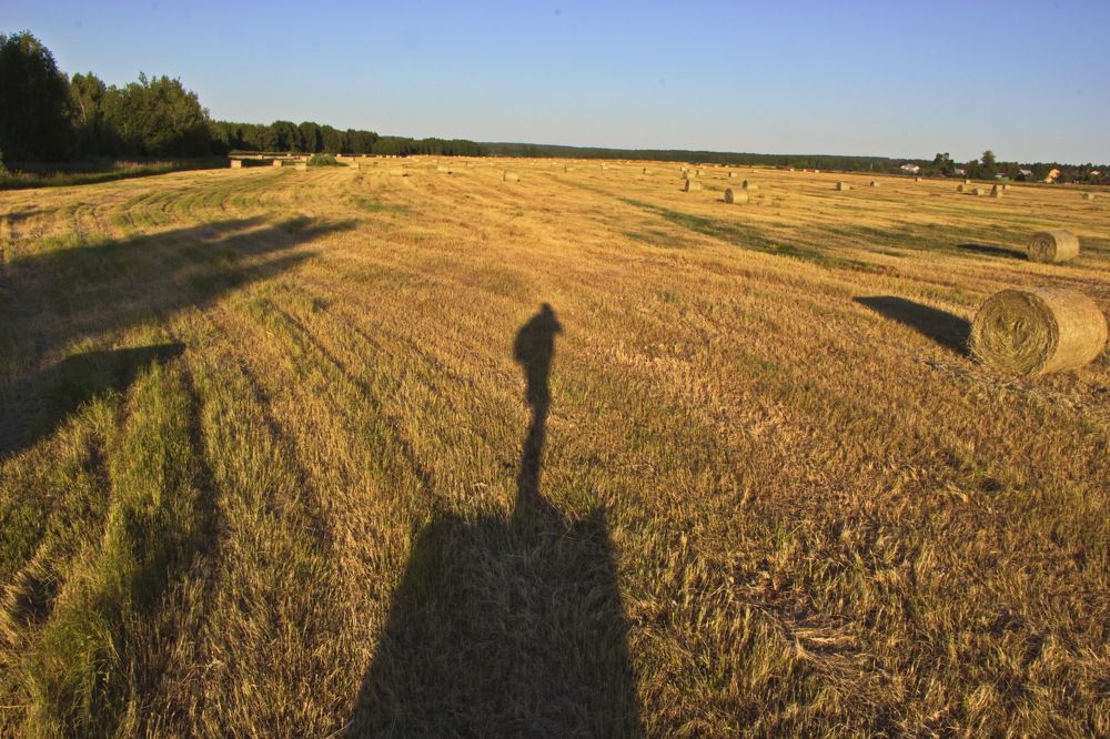 Поле жатвы.