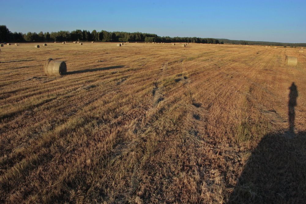 Фотография автора Анатолий Борисов