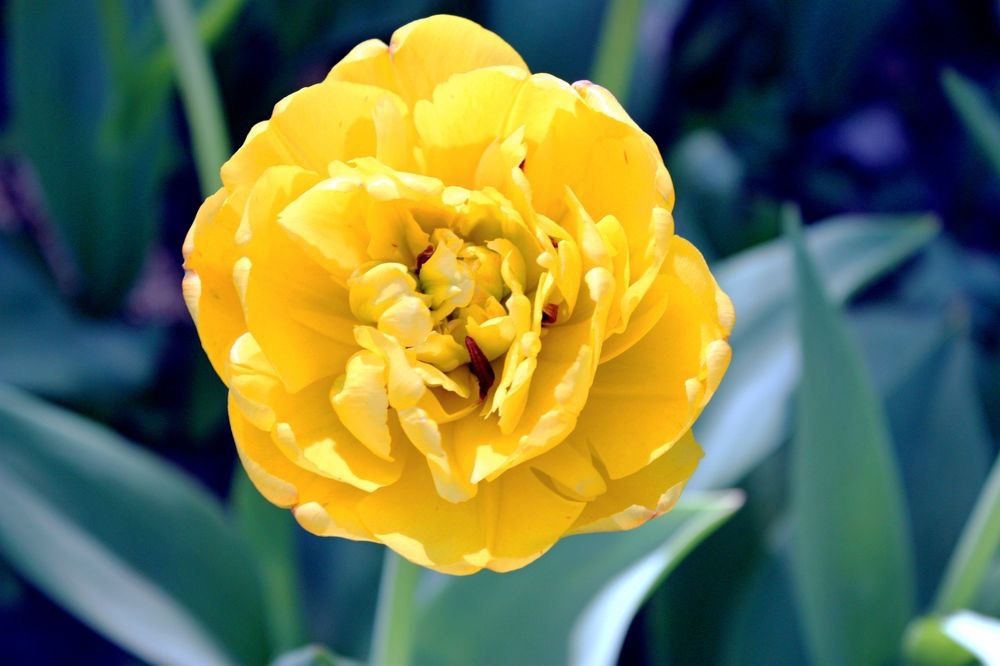 Photograph by Татьяна Кормщикова