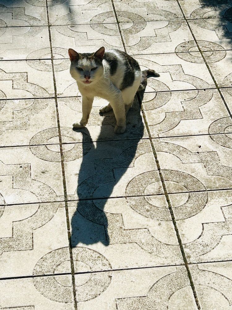 Photograph by Светлана Соколова