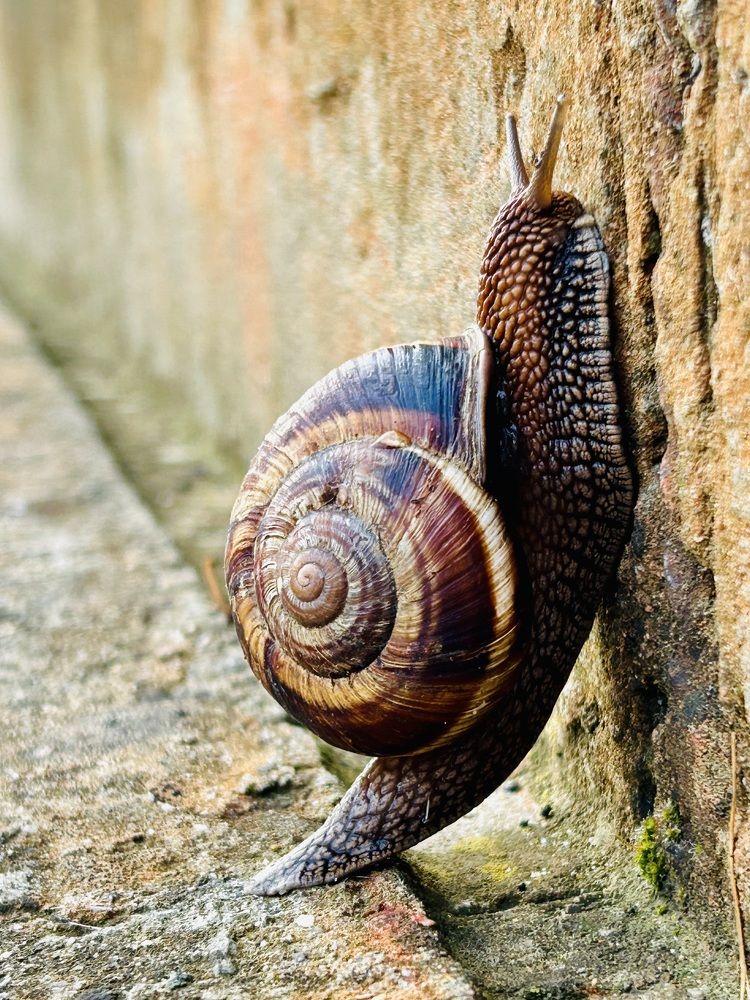 Photograph by Светлана Соколова