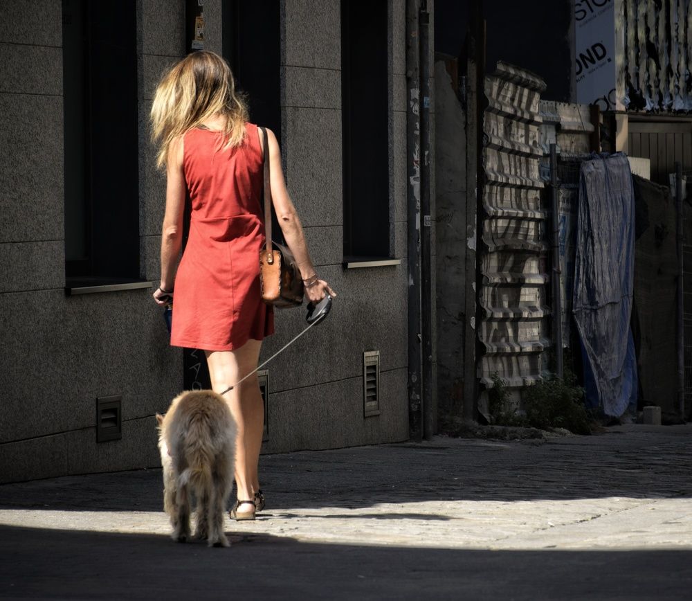 Photograph by José Ramón Domínguez