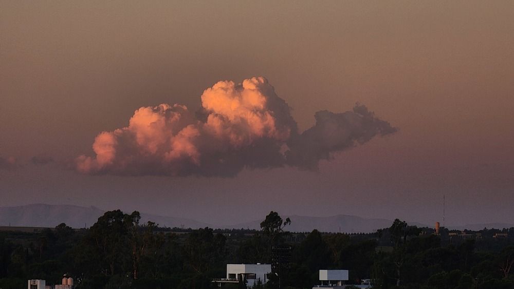 Photo #11040811