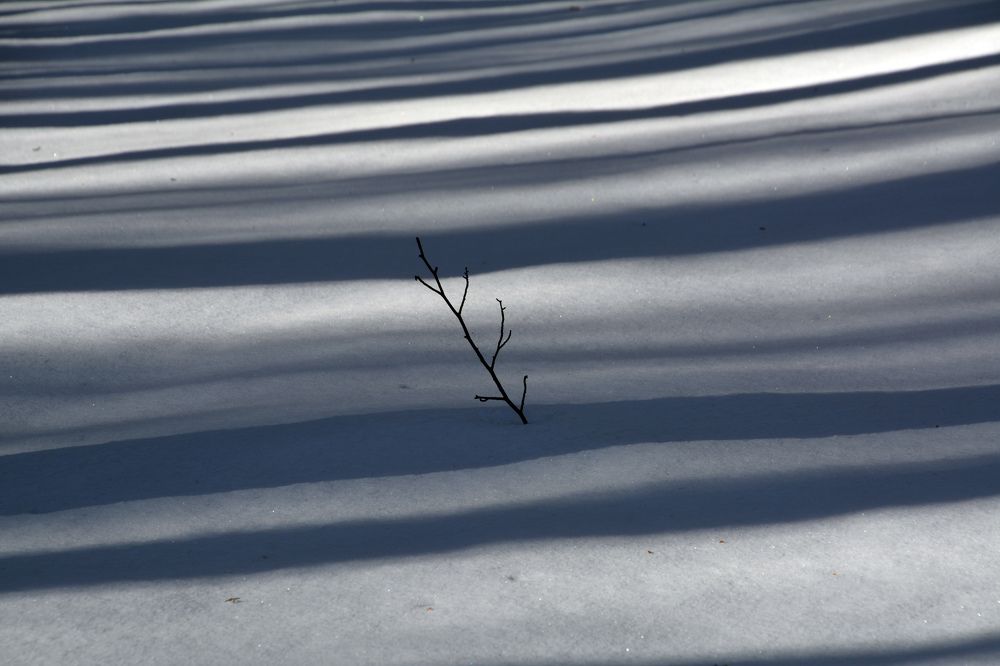 Photograph by Екатерина Крючкова