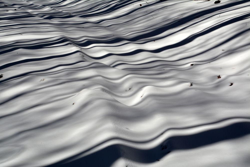 Photograph by Екатерина Крючкова