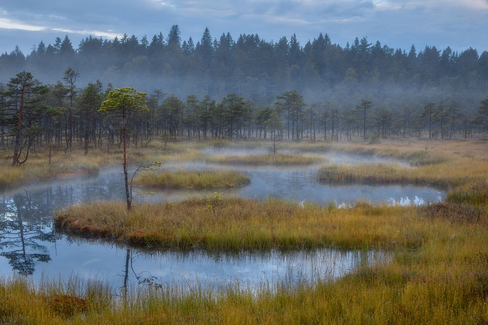 Фотография автора Alexander Pashenichev