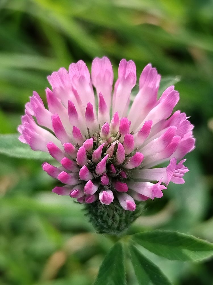 Photograph by Татьяна