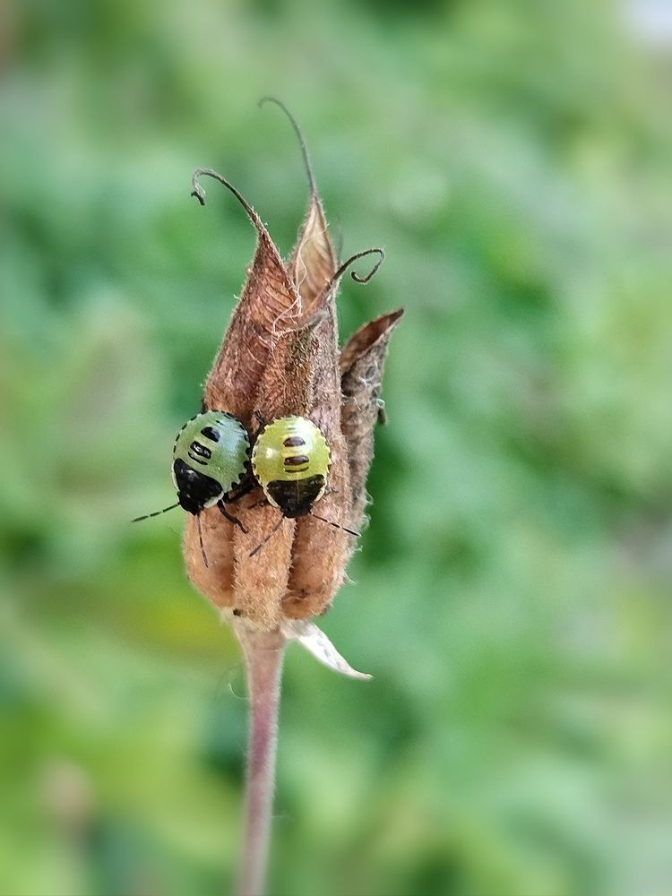 Photograph by Татьяна