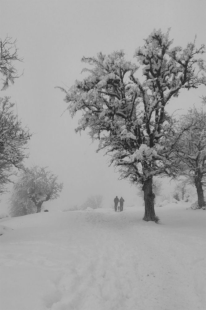 Photograph by Fatane