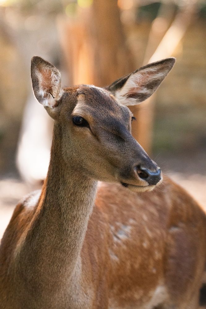 Photograph by Ирина Подгорная