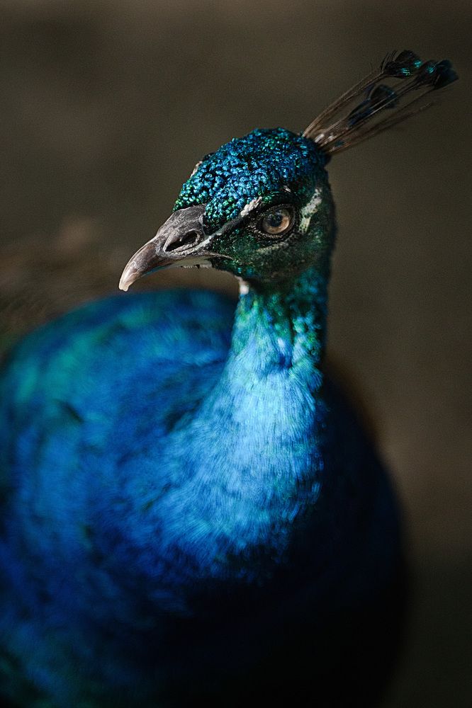 Photograph by Ирина Подгорная