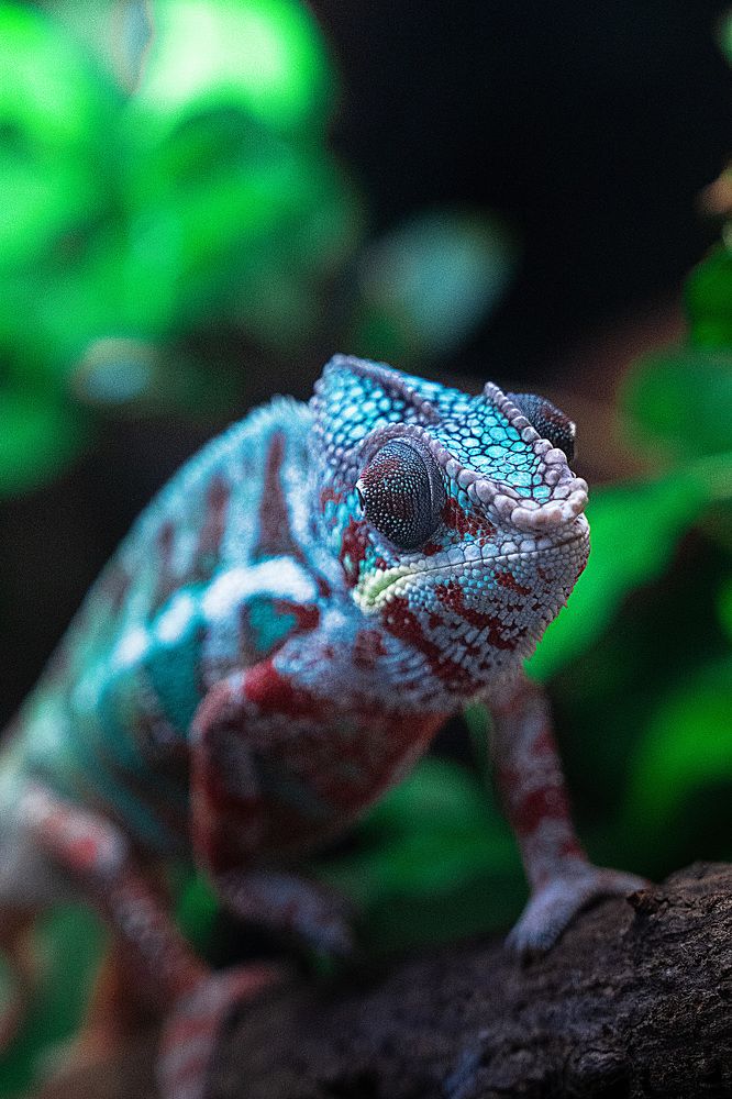 Photograph by Ирина Подгорная