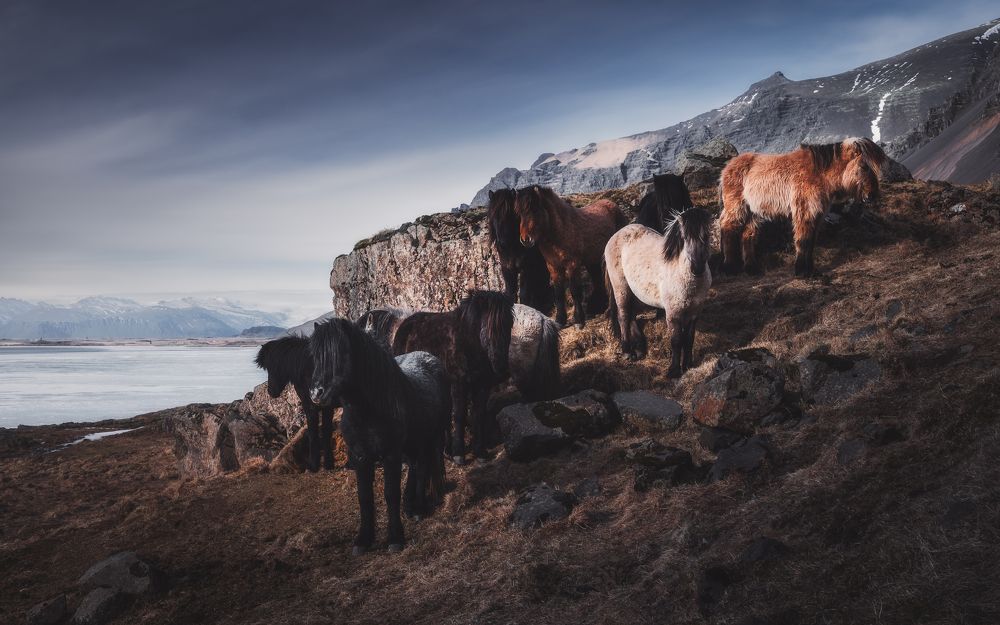 Photograph by Dobromir Dragomirov