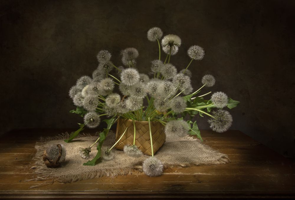 Photograph by Tatyana Fedenkova