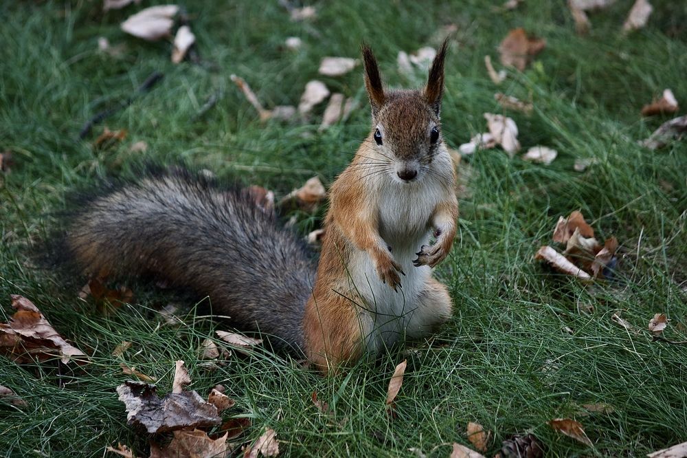 Photograph by Лариса Белашова