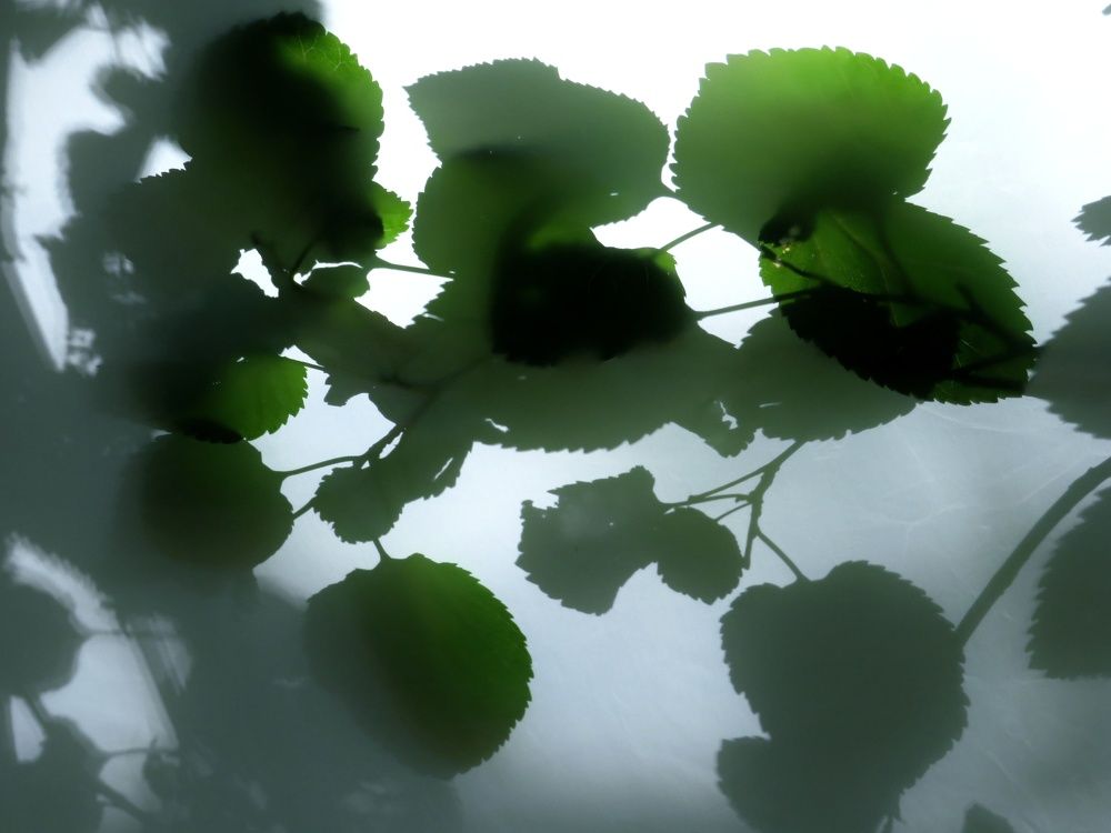 Фотография автора Mahdi Mohammadi