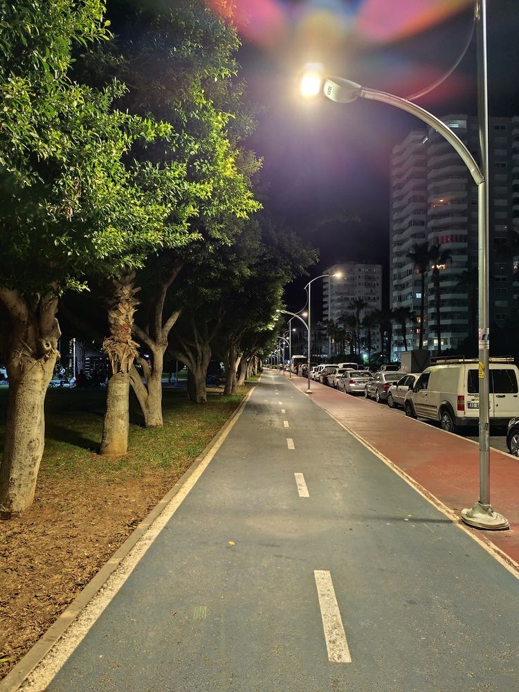 Photo #11041202