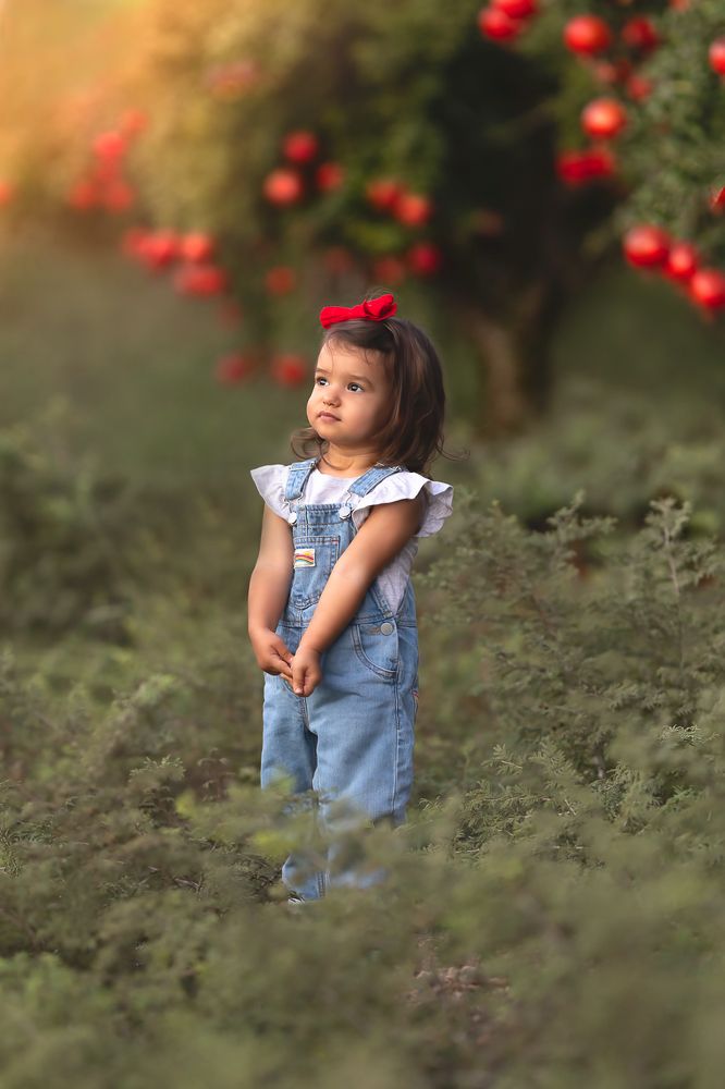 Фотография автора Lital Tzach Yona