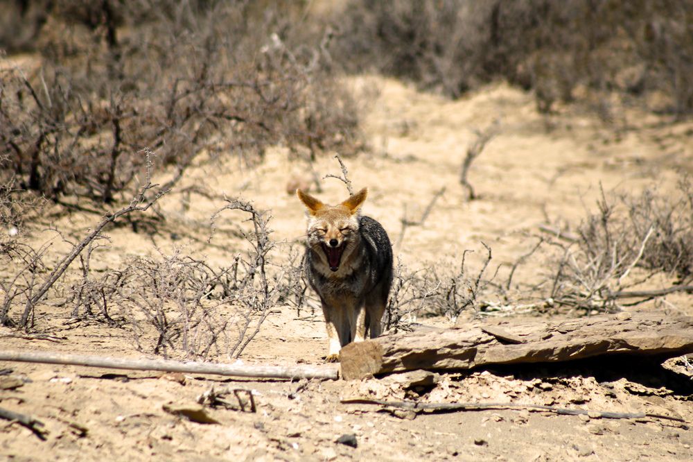 Photograph by Gonzalo Jorge Eduardo MARÓN