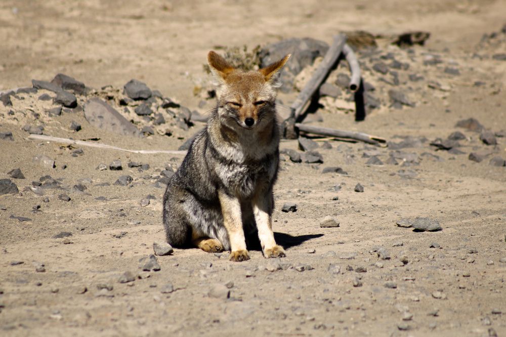 Photograph by Gonzalo Jorge Eduardo MARÓN
