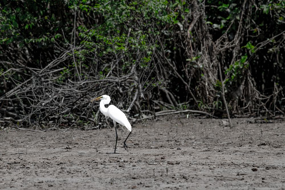 Photograph by Fabricio Linares Santillán