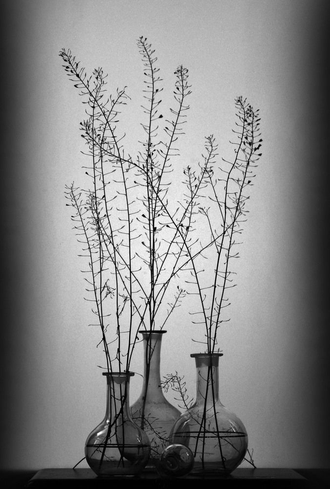 Photograph by 