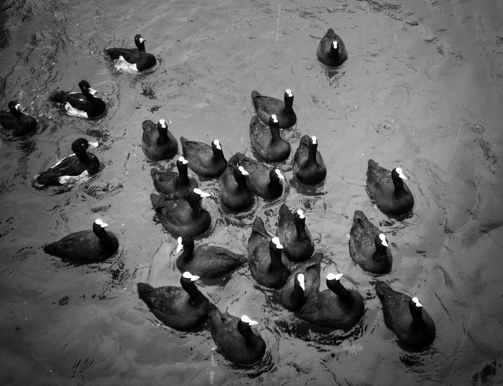 Photograph by Кривенко Владимир