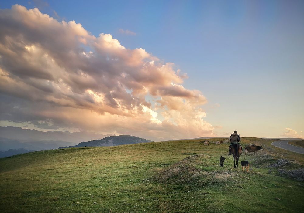 Photograph by Кривенко Владимир
