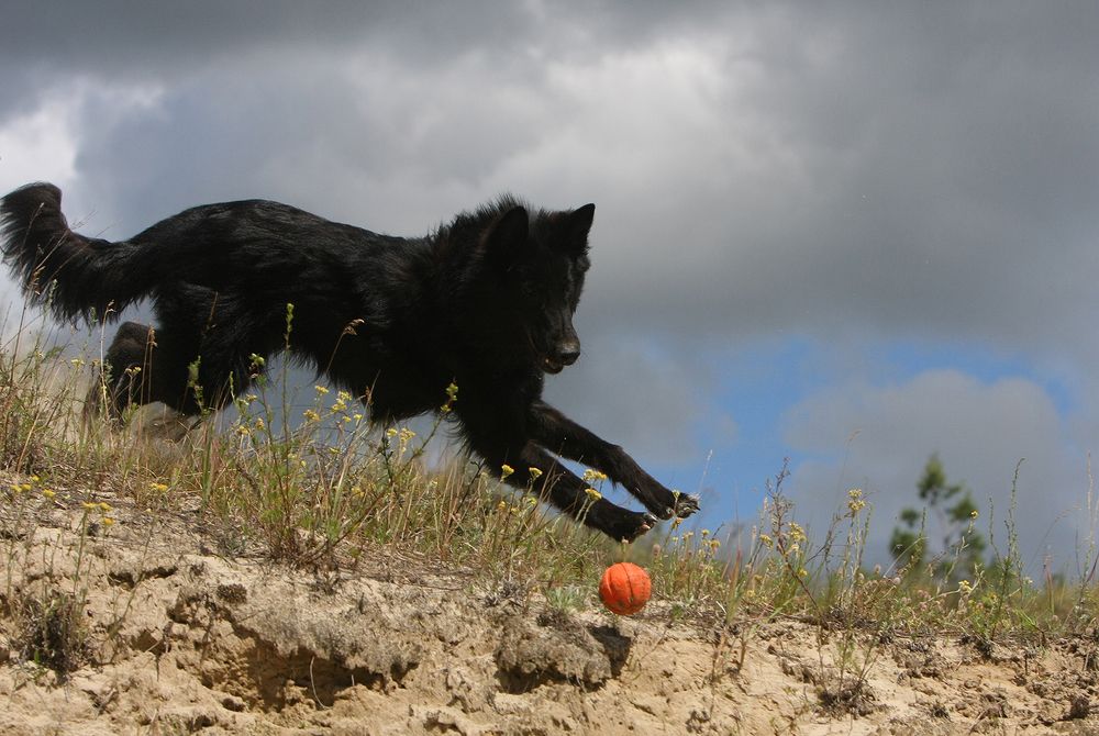 Фотография автора Надежда Лисицына