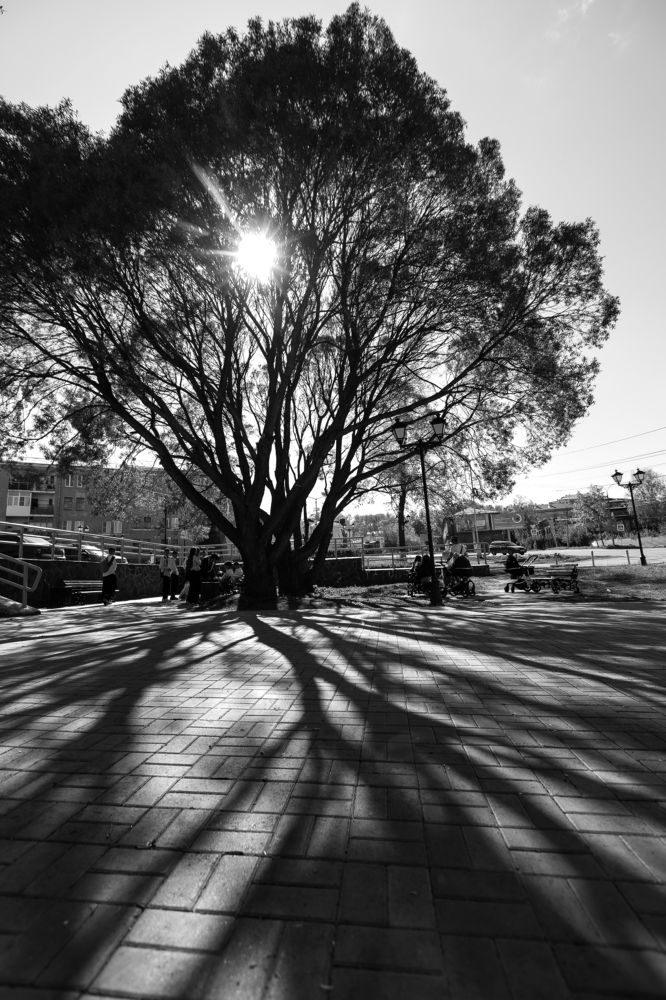 Photograph by Ксения Ясюченя