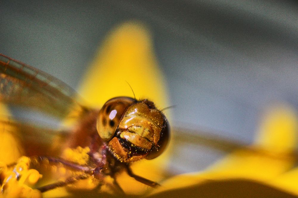 Фотография автора Наталия Мащенко