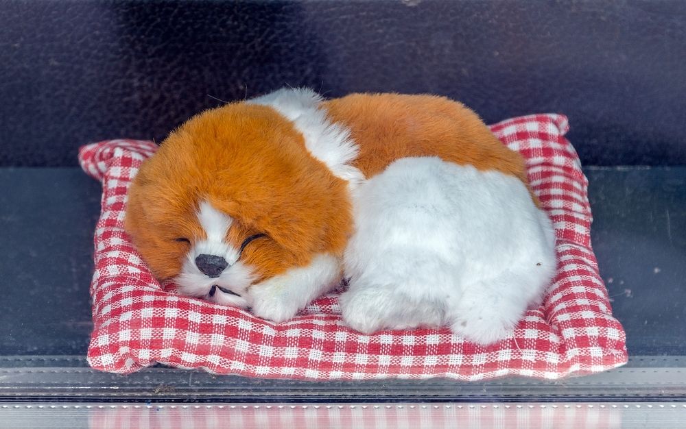 Спят усталые игрушки