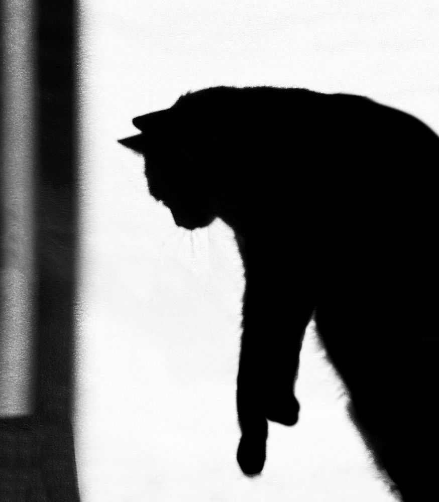 Photograph by Гуляева Светлана