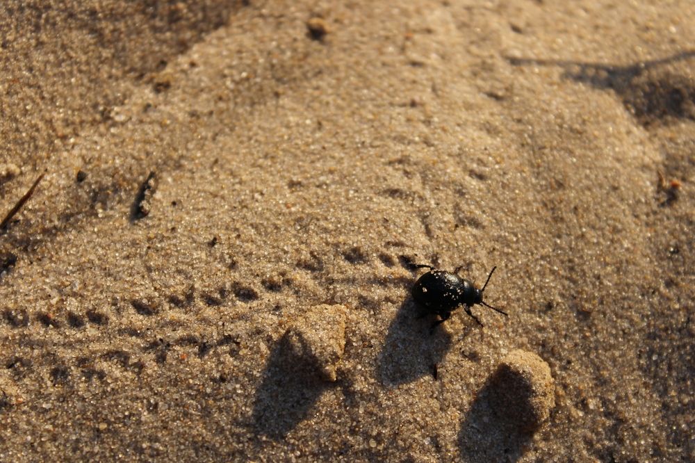 Photograph by Елена Коробченко