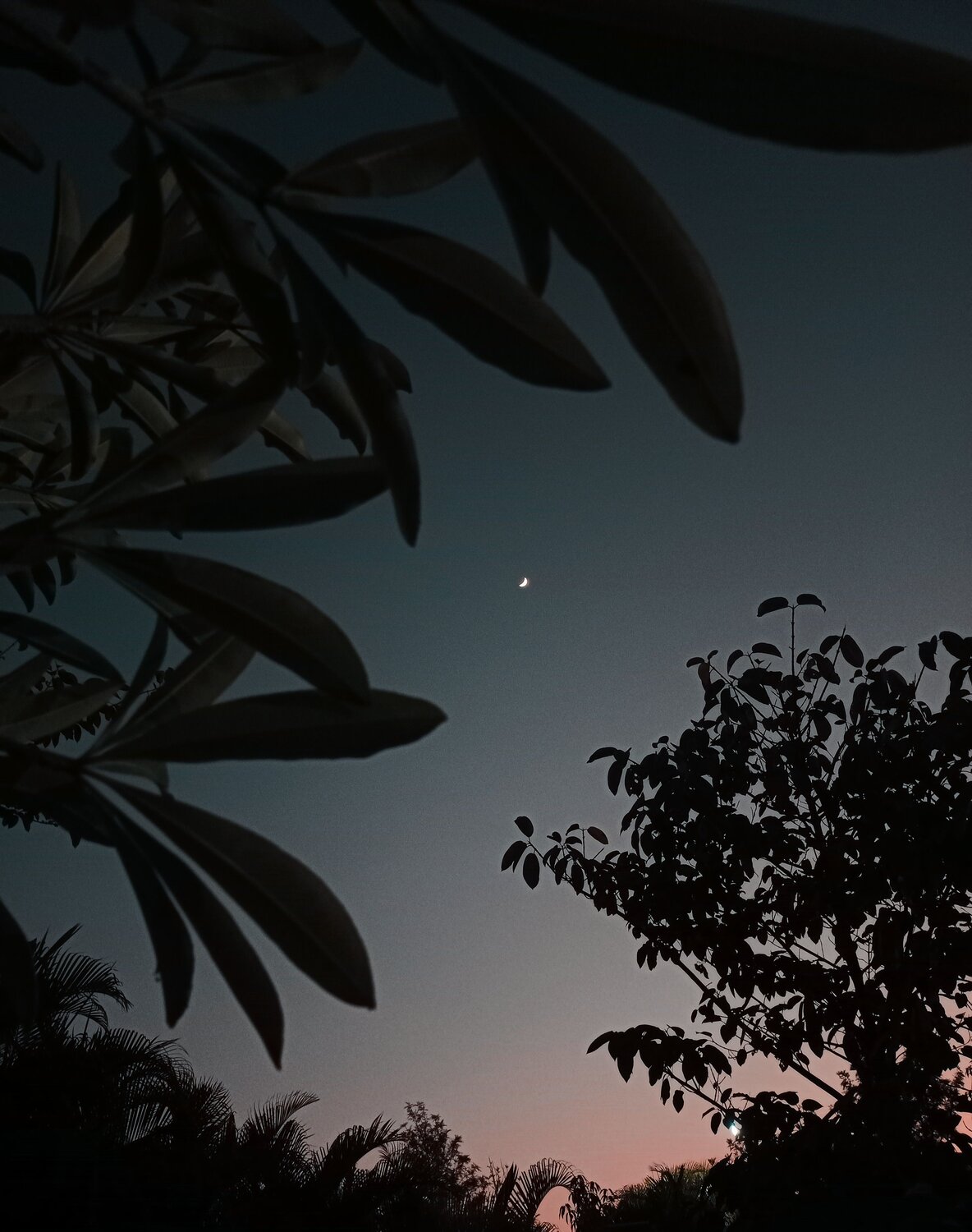 Photo #11041837
