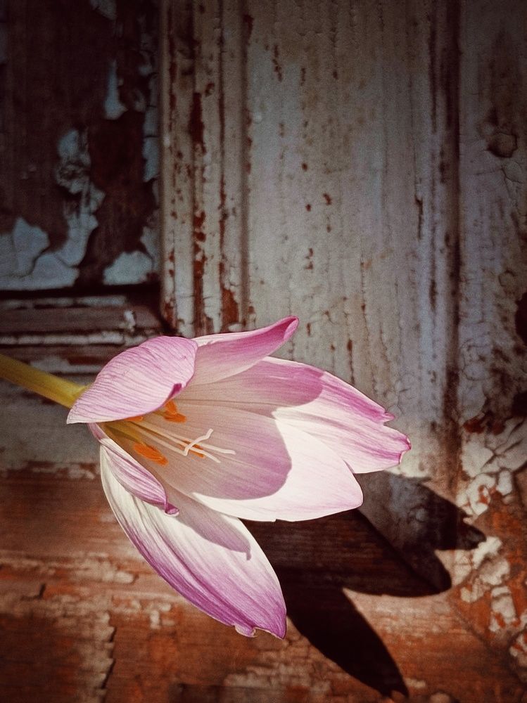 Photograph by Nastassia Krychautsova