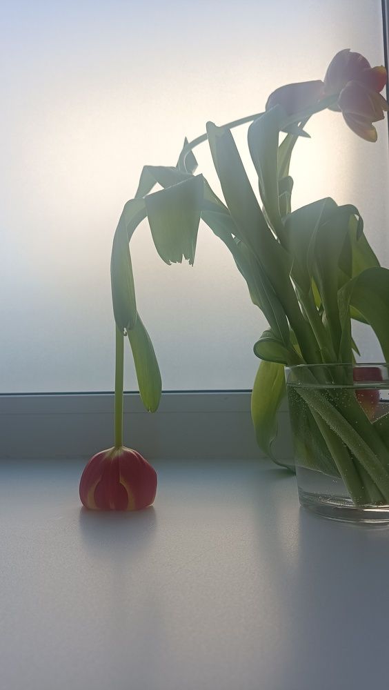 Photograph by Эмилия Ляпунова