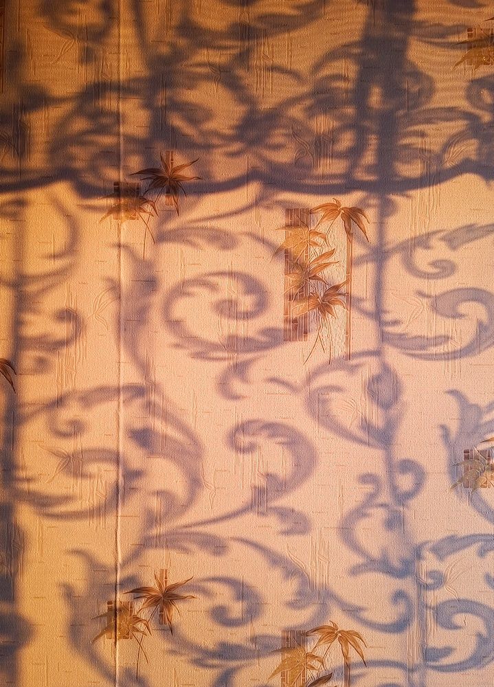 Photograph by Мария Андреева