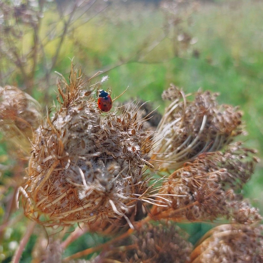 Photograph by Olga Ivancevič