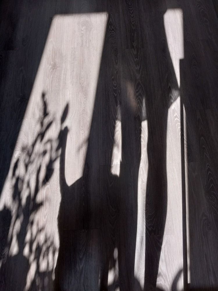 Photograph by Юлия Фирман