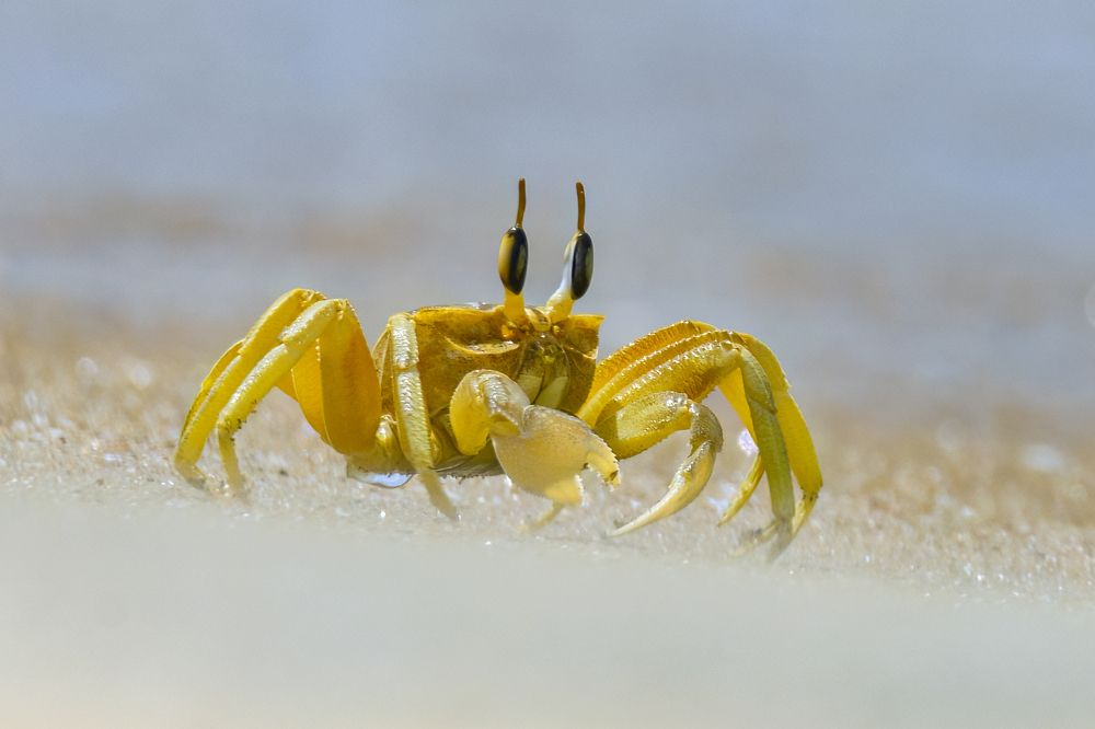 Photograph by Валерия Трейтяк