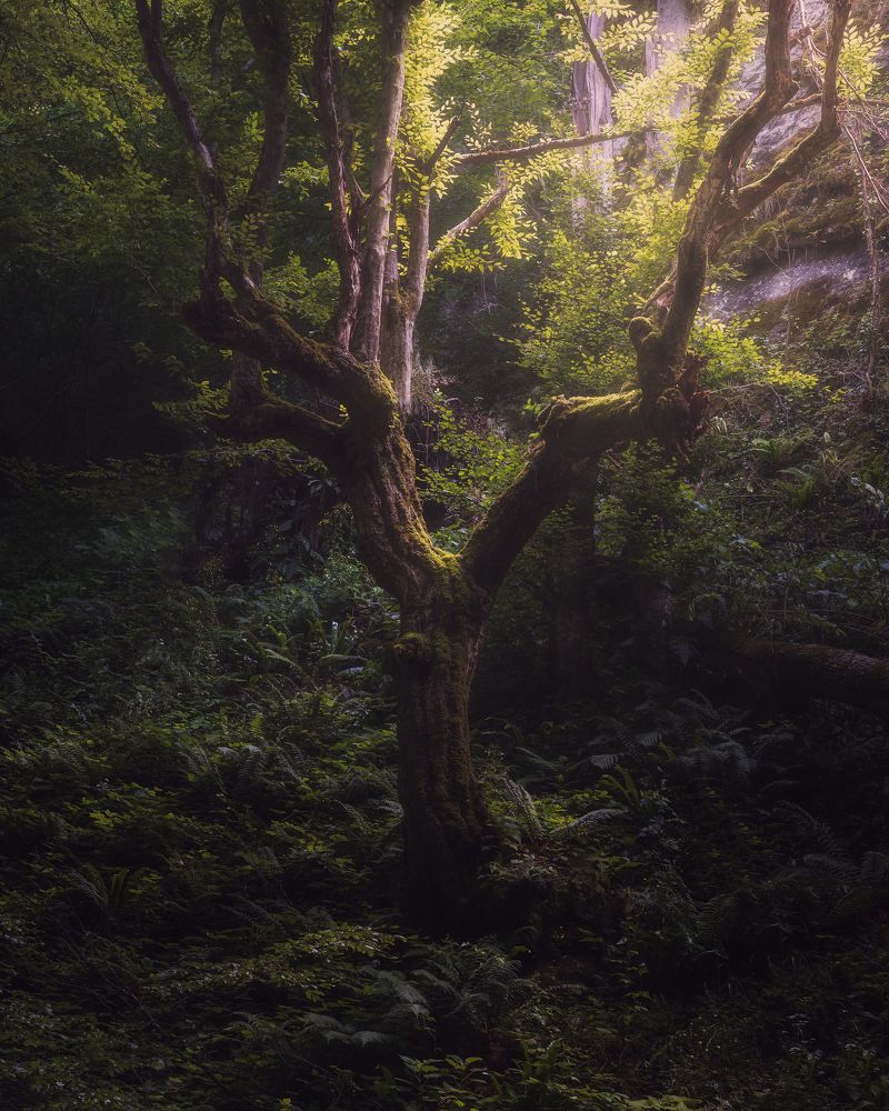 Photograph by Dobromir Dragomirov