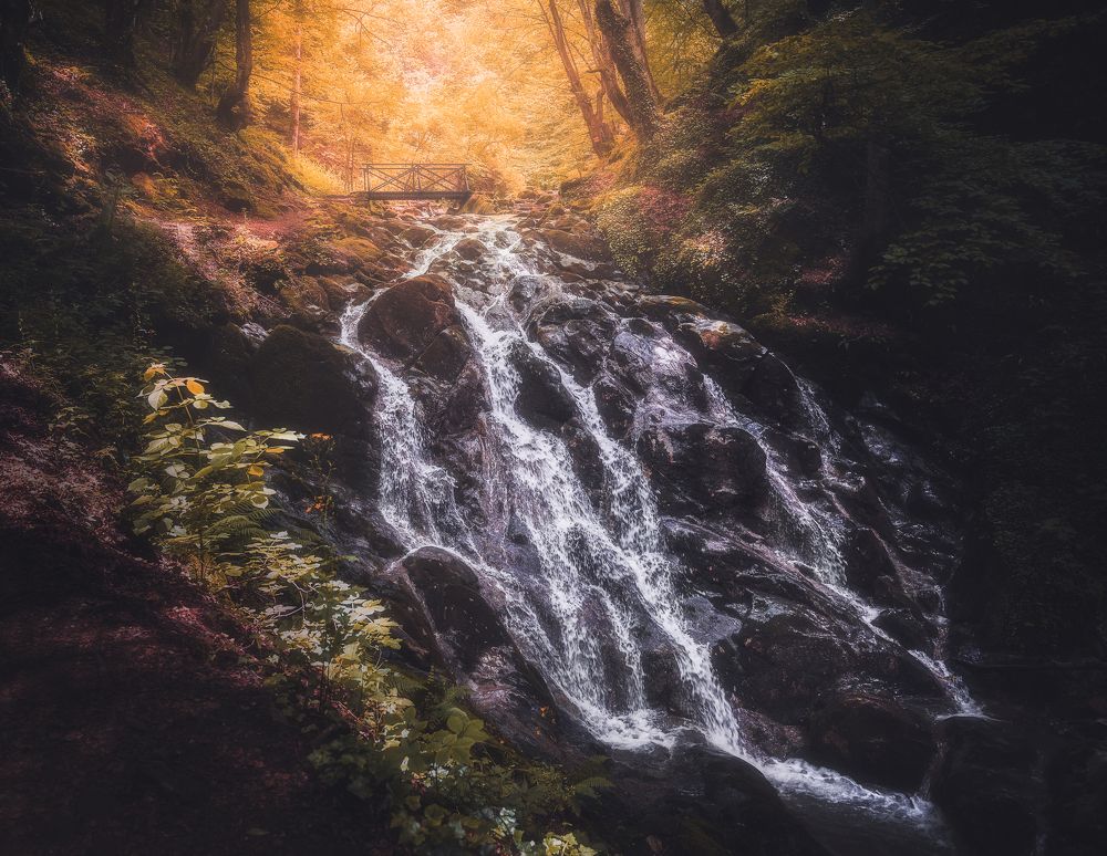 Photograph by Dobromir Dragomirov