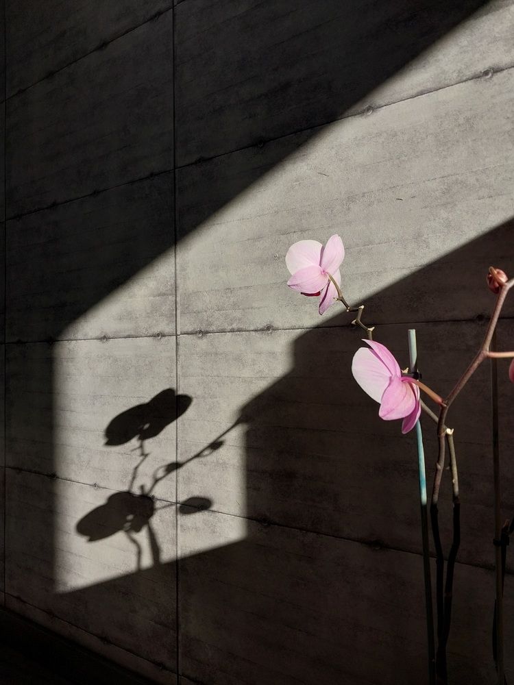 Photograph by Юлия Фирман