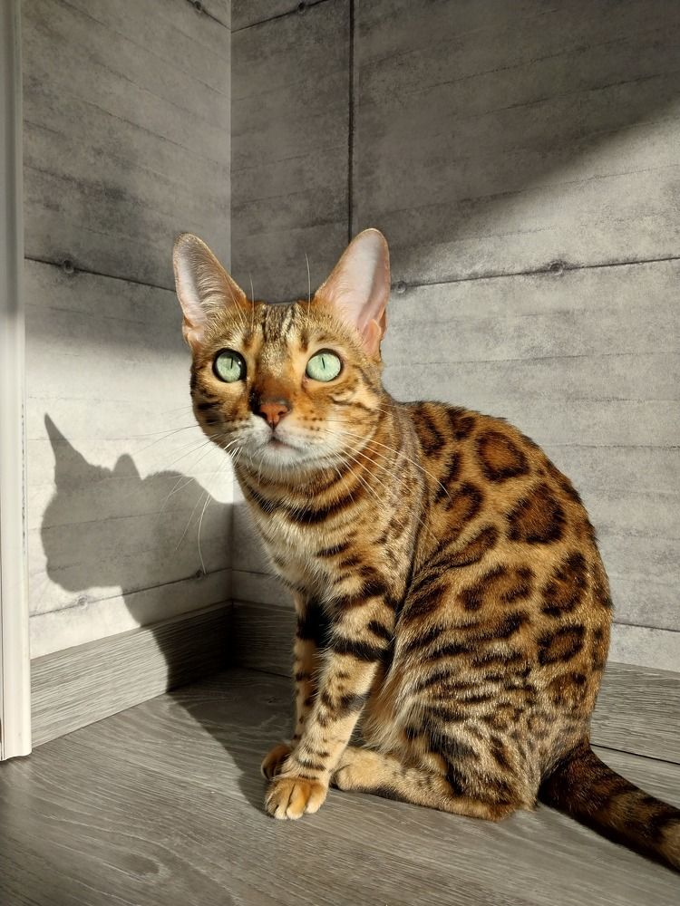 Photograph by Юлия Фирман